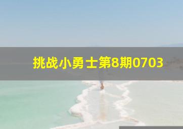 挑战小勇士第8期0703