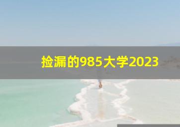 捡漏的985大学2023