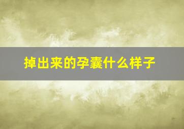 掉出来的孕囊什么样子