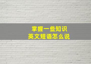 掌握一些知识英文短语怎么说