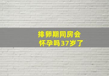 排卵期同房会怀孕吗37岁了