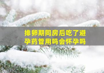 排卵期同房后吃了避孕药管用吗会怀孕吗