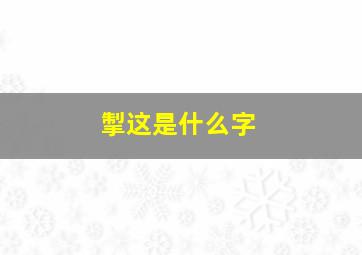 掣这是什么字