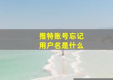 推特账号忘记用户名是什么