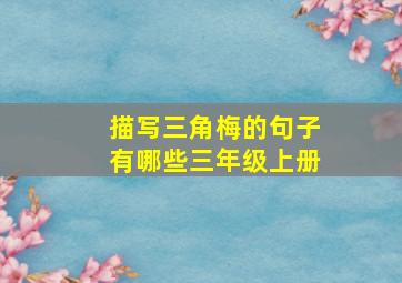 描写三角梅的句子有哪些三年级上册