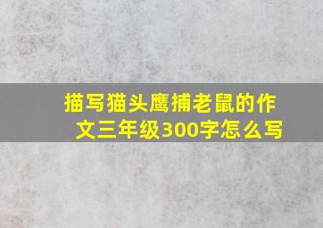 描写猫头鹰捕老鼠的作文三年级300字怎么写