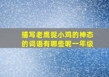 描写老鹰捉小鸡的神态的词语有哪些呢一年级