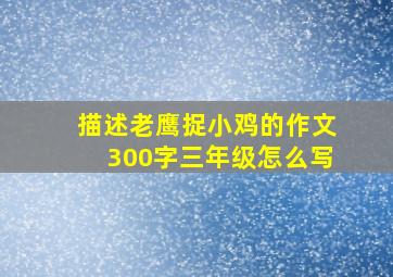 描述老鹰捉小鸡的作文300字三年级怎么写