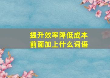 提升效率降低成本前面加上什么词语