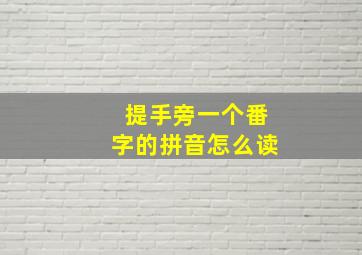 提手旁一个番字的拼音怎么读