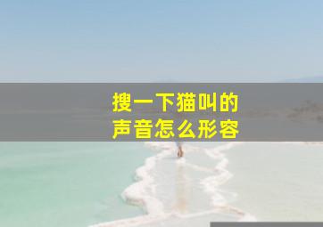 搜一下猫叫的声音怎么形容