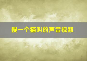 搜一个猫叫的声音视频