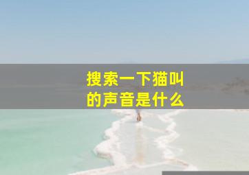 搜索一下猫叫的声音是什么