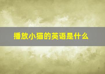 播放小猫的英语是什么