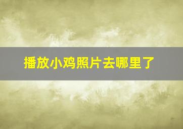 播放小鸡照片去哪里了