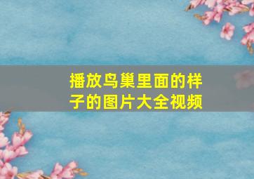 播放鸟巢里面的样子的图片大全视频