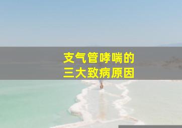 支气管哮喘的三大致病原因