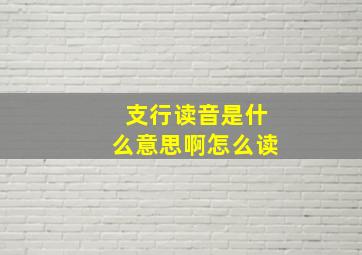 支行读音是什么意思啊怎么读