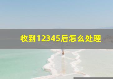 收到12345后怎么处理