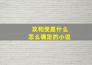 攻和受是什么怎么确定的小说