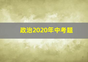 政治2020年中考题