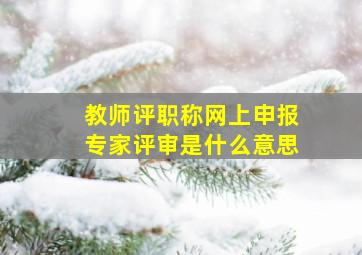 教师评职称网上申报专家评审是什么意思