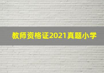 教师资格证2021真题小学