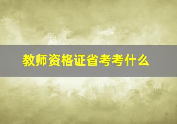 教师资格证省考考什么