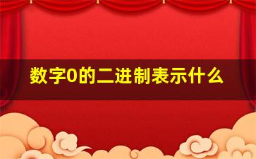 数字0的二进制表示什么