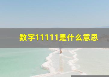 数字11111是什么意思