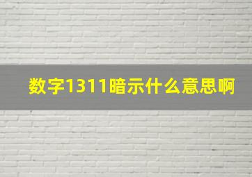 数字1311暗示什么意思啊