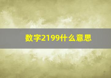 数字2199什么意思