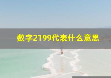 数字2199代表什么意思