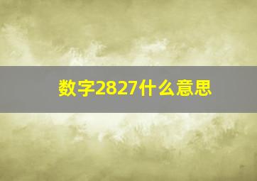 数字2827什么意思