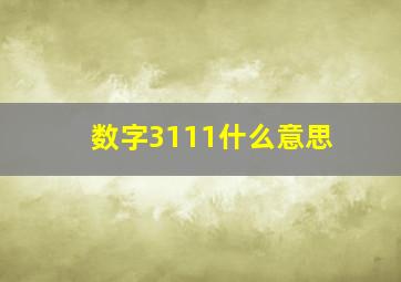 数字3111什么意思