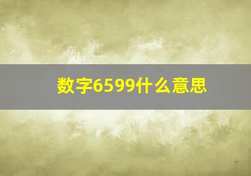 数字6599什么意思