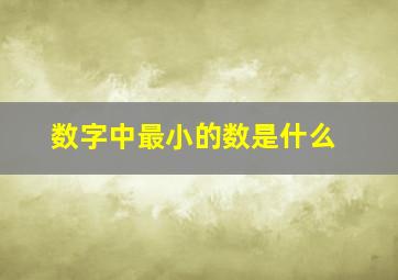 数字中最小的数是什么