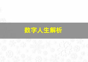 数字人生解析