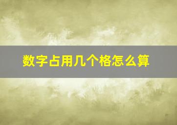 数字占用几个格怎么算