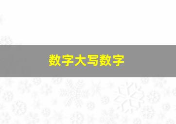 数字大写数字