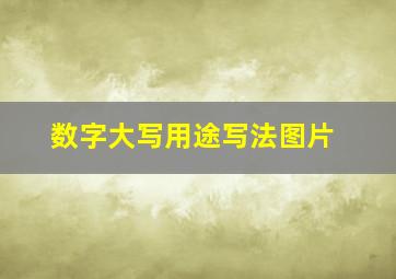 数字大写用途写法图片