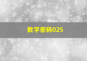 数字密码025