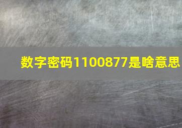 数字密码1100877是啥意思