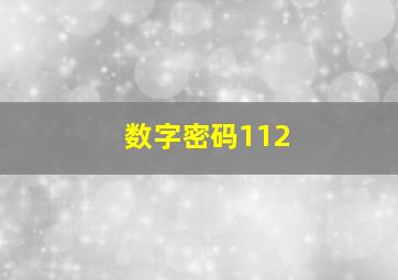 数字密码112