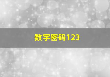 数字密码123