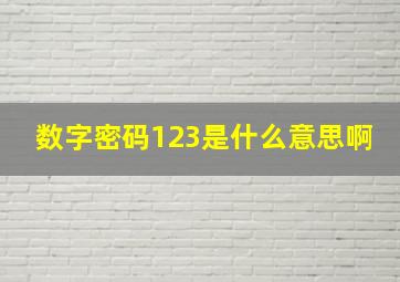 数字密码123是什么意思啊