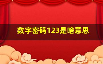 数字密码123是啥意思