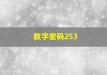 数字密码253