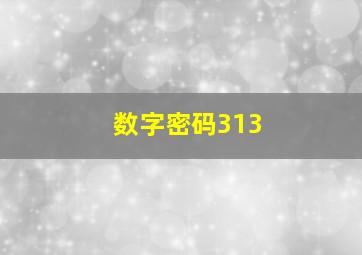 数字密码313