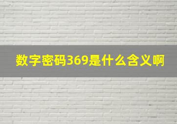 数字密码369是什么含义啊